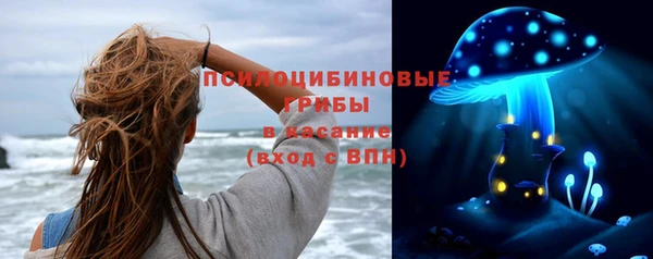 амф Переславль-Залесский