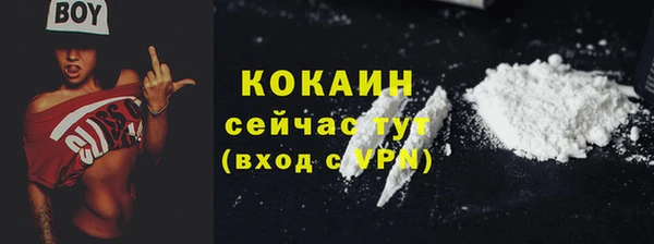 винт Пестово