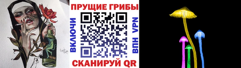 Купить закладки  Ардатов  Псилоцибиновые грибы Psilocybe 